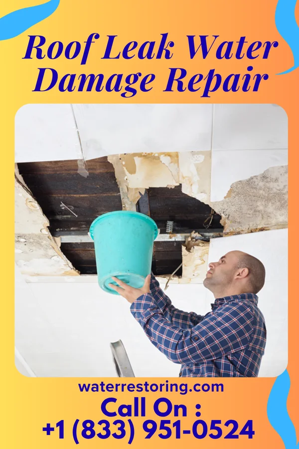 Roof Leak Water Damage Repair in Marion, KS