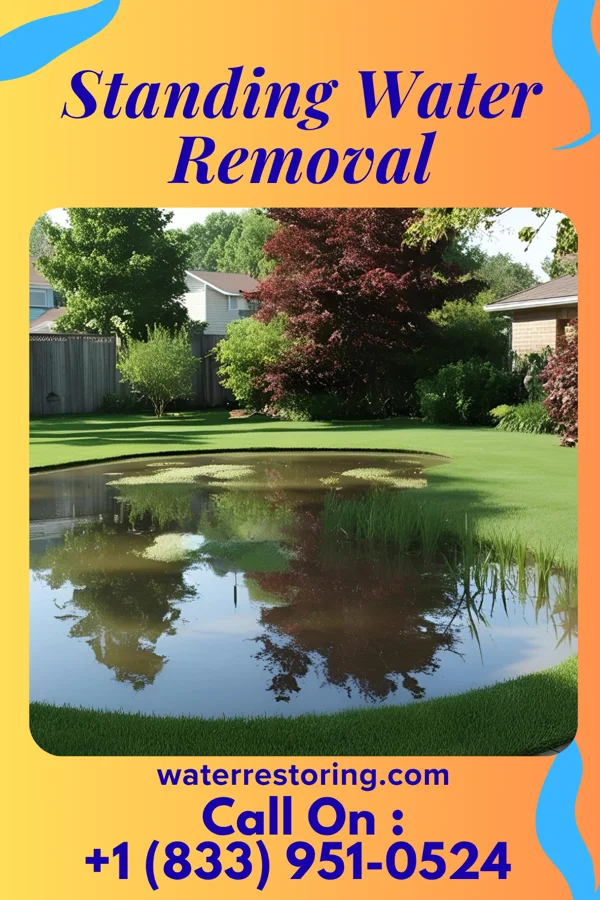 Standing Water Removal in Marion, KS